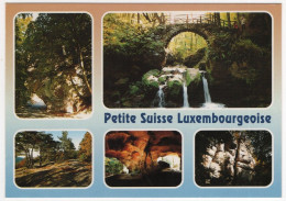 AK 213115 LUXEMBOURG - Petit Suisse Luxembourgeoise - Schiessentümpel ... - Müllerthal