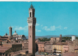 SIENA - Siena