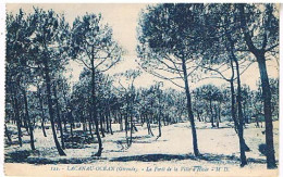 33   LACANAU OCEAN LA FORET DE LA VILLE D HIVER - Otros & Sin Clasificación