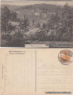 Ansichtskarte Bad Freienwalde Blick Ins Brunnental 1917 - Bad Freienwalde