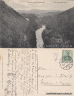 Ansichtskarte Schwarzburg Blick Vom Bindsell-Felsen 1910 - Autres & Non Classés