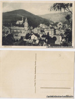 Postcard Graslitz Kraslice Panorama 1923 - Tsjechië