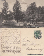Ansichtskarte Kiel Forstbaumschule 1910 - Other & Unclassified