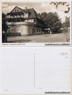 Ansichtskarte Sitzendorf Hotel Linde - Foto AK 1936 - Otros & Sin Clasificación