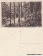 Ansichtskarte Freudenstadt Wald-Festplatz Palmenwald 1926 - Freudenstadt