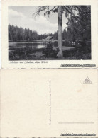 Ansichtskarte Bayerisch Eisenstein Arbersee Mit Seehaus, Bayr. Wald 1929 - Otros & Sin Clasificación