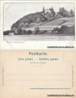 Ansichtskarte Salenstein Partie Am Untersee - Schloß Arenenberg 1905 - Sonstige & Ohne Zuordnung