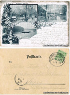 Litho AK Penig (Mulde) Höllmühle: Restaurant, Garten, Teich Und Umland 1898 - Penig