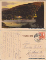 Ansichtskarte Bad Lauterberg Im Harz Wiesenbeker Teich 1917 - Bad Lauterberg