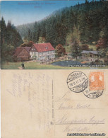 Ansichtskarte Hohegeiß-Braunlage Wolfbachmühle 1917 - Braunlage