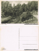 Postcard Bad Polzin Połczyn Zdrój Partie Im Kurpark 1928 - Pommern