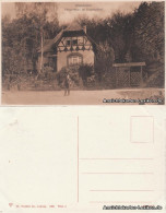 Ansichtskarte Wiesbaden Försterhaus Im Dambachtal 1908  - Wiesbaden