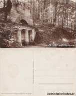 Ansichtskarte Waldenburg (Sachsen) Hirschtränke Im Fürstl. Park 1930  - Waldenburg (Sachsen)