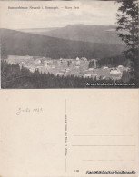 Postcard Neuwelt-Harrachsdorf Nový Svět Harrachov Totalansicht 1921  - Czech Republic