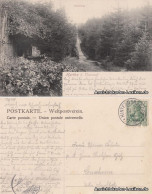 Ansichtskarte Kurort Hartha-Tharandt Poetenweg 1906 - Tharandt
