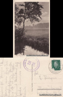 Ansichtskarte Magdeburgerforth-Möckern Magdeburgerforth - Wiesensteig 1931 - Other & Unclassified