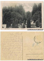 Postcard Bad Polzin Połczyn Zdrój Kurpark 1925 - Pommern