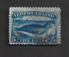 TERRANOVA (NEW FOUNDLAND) -  SG 48  - 1880 ANIMALS: SEAL   -  USED (°)  RIF. APP/CA - America (Other)