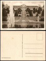 Potsdam Schloss Sanssouci Mit Terrassen Und Grosser Fontaine 1930 - Potsdam