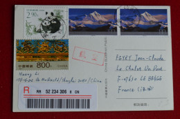 Registered Everest Card China To France Panda Himalaya Mountaineering Escalade Alpinisme - Mountains