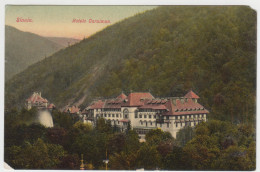 Romania - Prahova Sinaia Mountain Resort Spa Resort Casino Kasino Editor Horovitz Bucuresti - Roumanie