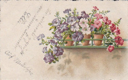 AK Blumentöpfe - 1920 (67598) - Blumen