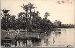 ALGERIE BISKRA Irrigation Des Dattiers  - Biskra