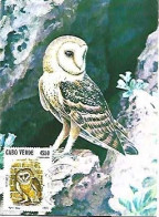 Cabe Verde & Maximum Card, Coruja-das-torres, Tyto Alba 1987 (29) - Eulenvögel