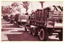 28768 / ⭐ Train Des Equipages Militaires MILITAIRES Transport En Convoi Camions De Chevaux Militaria 1940s Georges LANG - Manovre