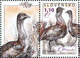 ** 505 Slovakia Otis Tarda 2011 - Gru & Uccelli Trampolieri