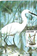 Cabe Verde & Maximum Card, Lavadeira, Egretta Garzetta 1983 (28) - Capo Verde