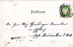 Bayern 1901, Aushilfs-L2 NEUMARKT A.R. Als Ank.Stpl. Auf AK M 5 Pf. V. Passau  - Briefe U. Dokumente