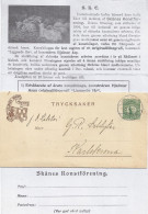 Schweden 1920, Skane Konstforening, Bilder Brief  V. Malmö M. 5 öre.  #2200 - Cartas & Documentos