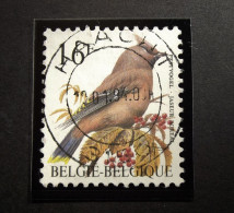 Belgie Belgique - 1994 - OPB/COB N°  2534 (1 Val ) -  Pestvogel - Bombycilla Garrulus - Jaseur - Buzin Obl. Haacht - Usati