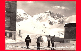 ITALIA - Abruzzo - Cartolina Viaggiata Nel 1970 - L'Aquila - Gran Sasso - Campo Imperatore (2200 M.) - L'Aquila