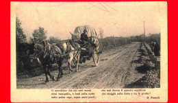 ITALIA - Abruzzo - Cartolina Viaggiata Nel 1921 - L'Aquila - O Carrettiere ... - L'Aquila