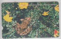 TURKEY 1999 FROG - Selva