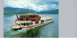 Libellule Sur Le Lac D'Annecy - Ferries