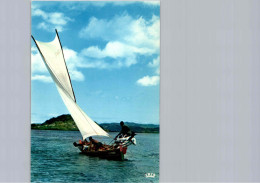 Course De Gommiers, Acacia Race, Martinique - Sailing Vessels