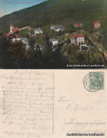 Ansichtskarte Kipsdorf-Altenberg (Erzgebirge) Dorfpartie 1913  - Kipsdorf