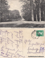 Ansichtskarte Dobrock-Wingst Partie Am Forsthaus Dobrock 1927  - Other & Unclassified