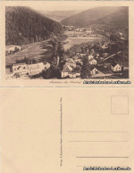 Ansichtskarte Stutzhaus-Luisenthal (Thüringen) Totalansicht 1924 - Altri & Non Classificati