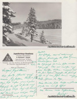 Ansichtskarte Altenberg (Erzgebirge) Gimmlitztal Im Winter 1939  - Altenberg