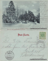 Ansichtskarte Klein Flottbek-Hamburg Teufelsbrück - Park-Hotel Im Winter 1899 - Autres & Non Classés