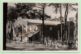 14. ST TROJEAN (ÎLE D'OLÉRON) - LE CASINO (17) - Ile D'Oléron