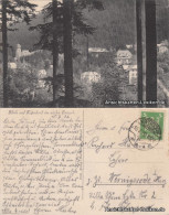 Ansichtskarte Kipsdorf-Altenberg (Erzgebirge) Panorama 1926  - Kipsdorf