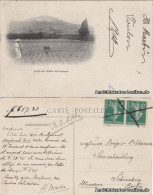 .Frankreich Jardin Des Æillets De Provence (Nelkenbeet In Der Provence) 1911 - Altri & Non Classificati