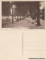 Postcard Berg Dievenow Dziwnów Promenade Am Bodden 1918  - Pommern