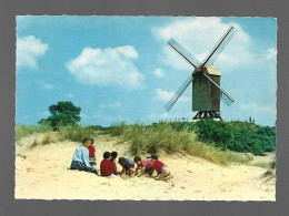 Windmolen Moulin Mill Molen Foto Prentkaart Photo Carte Htje - Molinos De Viento