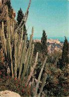 Fleurs - Plantes - Cactus - Principauté De Monaco - Le Jardin Exotique - Au Fond Le Rocher De Monaco - Cereus Peruvianus - Cactusses